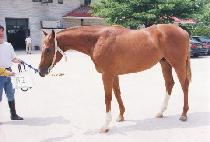 õ������ (CH��EON-GIJISAENG) ����