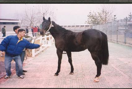 ��α�� ����