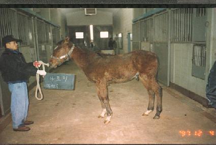 �������ڸ� ����