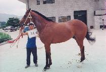 ���������� (JUNGMAL MONMALLYEO) ����