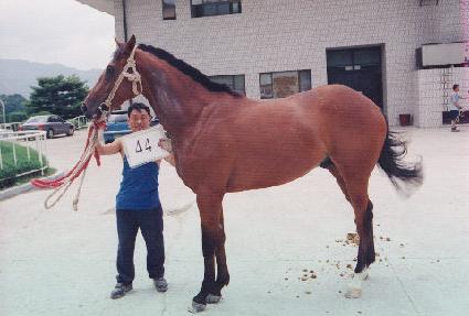 ���������� ����