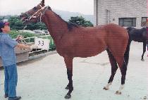 �ϵ�� (ILDEUNG MANSE) ����