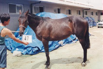 ��Ȱ ����