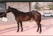 �����ŷ� (KEOMEUN MAERYEOK) ����