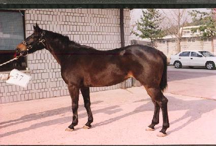 �����ŷ� ����