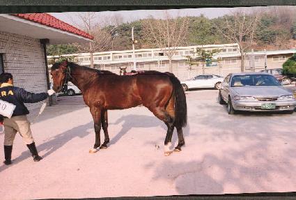 �������� ����