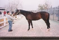 �������� (SOSEUL MADANG) ����