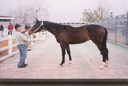 �������� ����