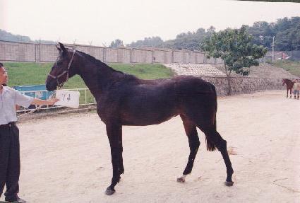 ��ȭ���� ����