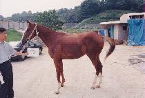 ����� (YEONGCH��WISAN) ����