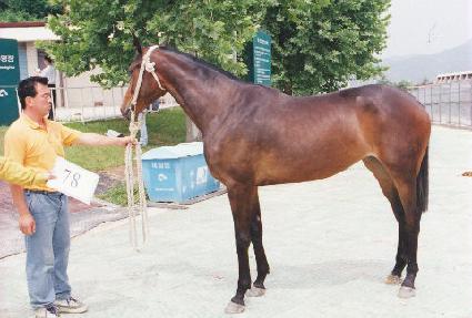 �۷ι���Ÿ ����