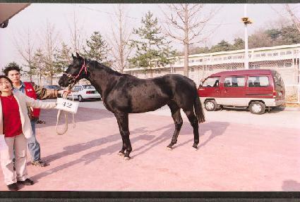 ��� ����