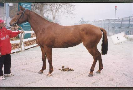 �������� ����