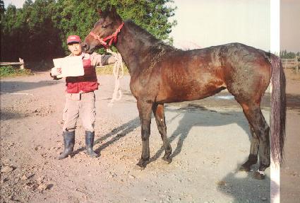 ��� ����