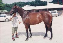 ����Ŀ� (WOMAN POWER) ����