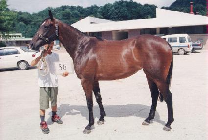 ����Ŀ� ����