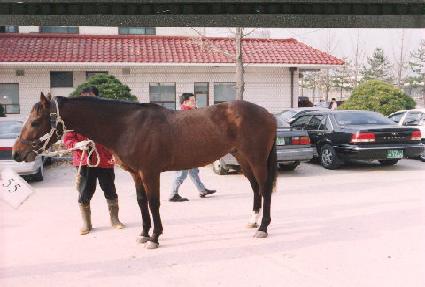 ��õ�� ����