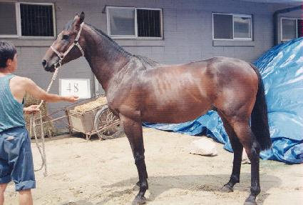 ���� ����