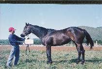 ȭ���� (HWAEOMSA) ����