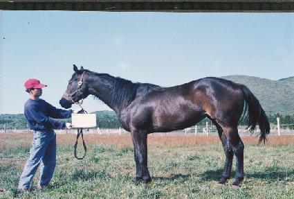 ȭ���� ����