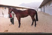 �ݾ߻� (PANYASA) ����