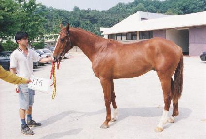 �������� ����