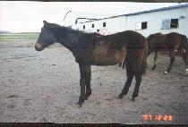 ����Ÿ���̽��ڸ� ����