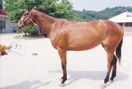 �ͺ��� ����