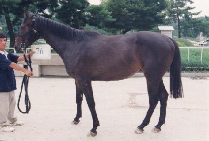 �ֺ� ����