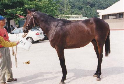 ��ΰ��� ����