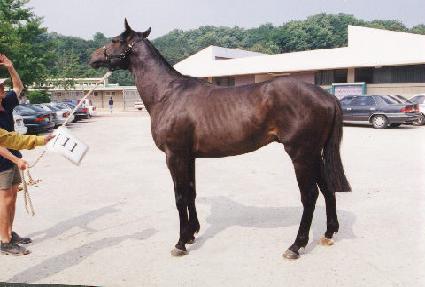 ������ǳ ����