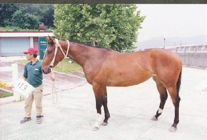 �ָ��� ����