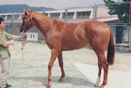 �ֳ� ����