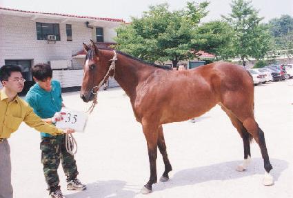 ���϶���ȿ ����