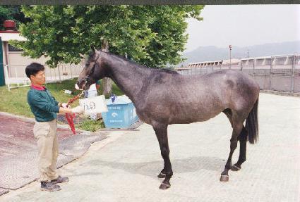 �ǹ�ž ����