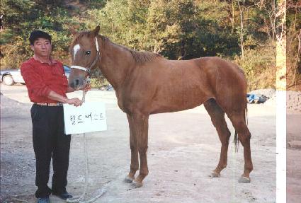 ���庣��Ʈ ����