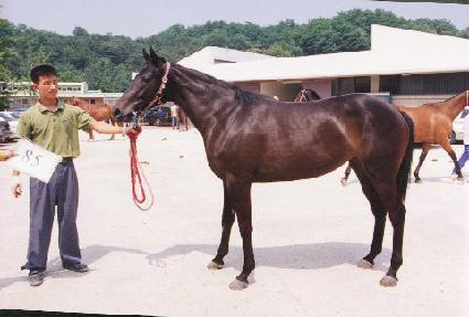 ��ȭ ����