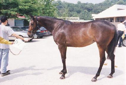 �����밨 ����