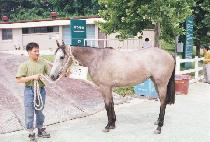 ���� (MYEONGMUN) ����