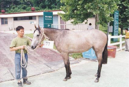 ���� ����