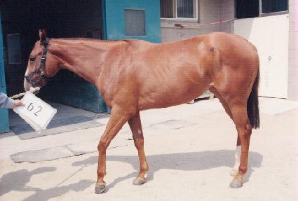 �һ����� ����