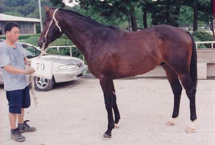 �ֹ� ����