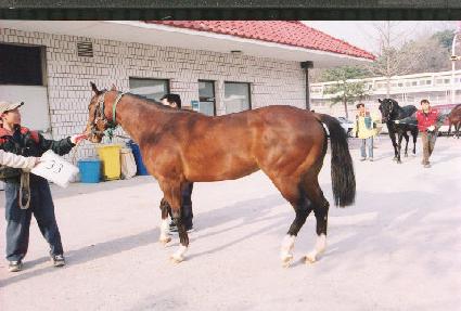 ��ٵ��� ����