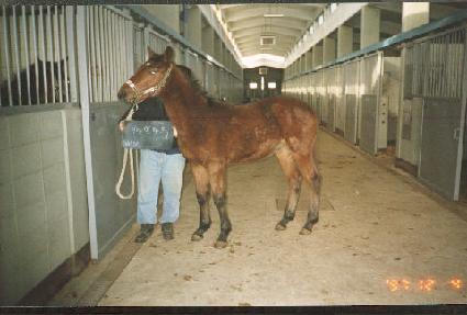 �̸���Ÿ���ڸ� ����