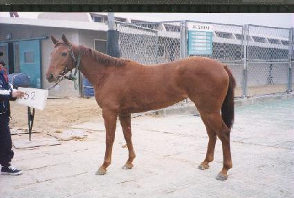 ���Ʈ���� ����