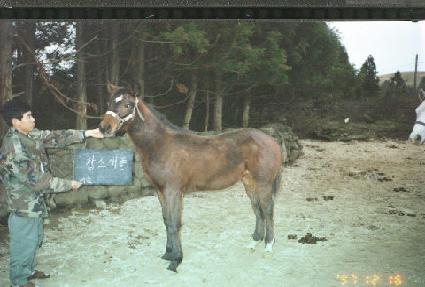 �˽������ڸ� ����