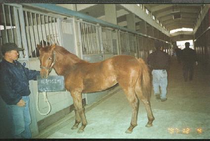 ������������ڸ� ����