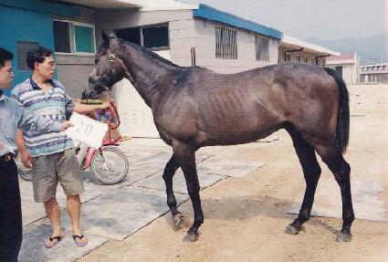 �ǹ����̽� ����