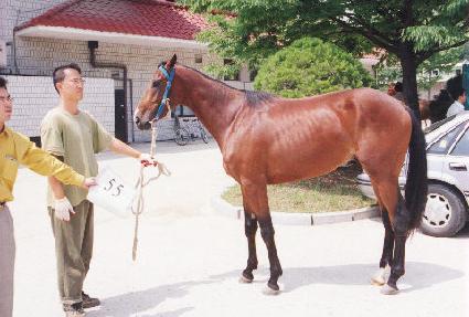 ��� ����