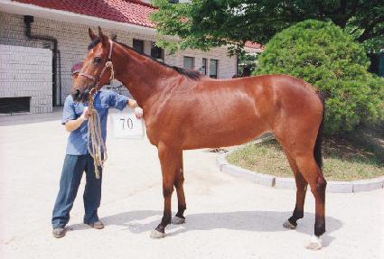 ���귯�� ����